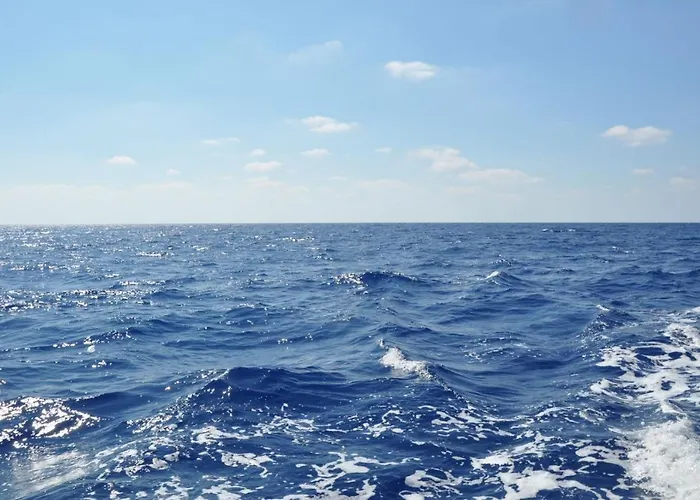 Apartment Large Next To The Larnaca